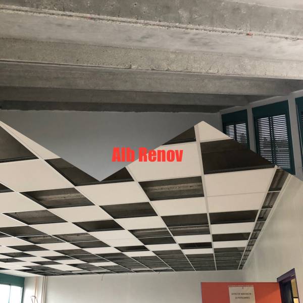 Pose des plafonds industriels et réalisation des cloisons phoniques pour un bureau d'entreprise à Lyon et sa région